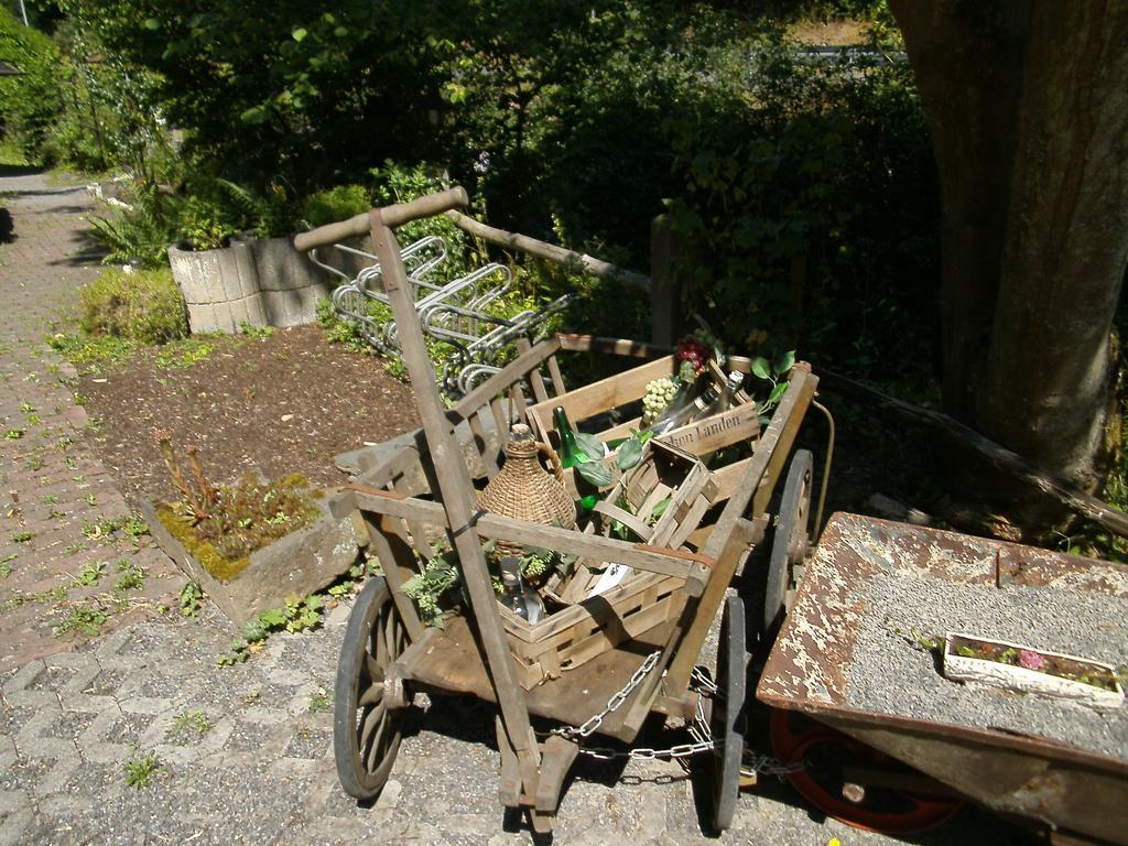 Pension Linkemühle Niederfell Екстериор снимка