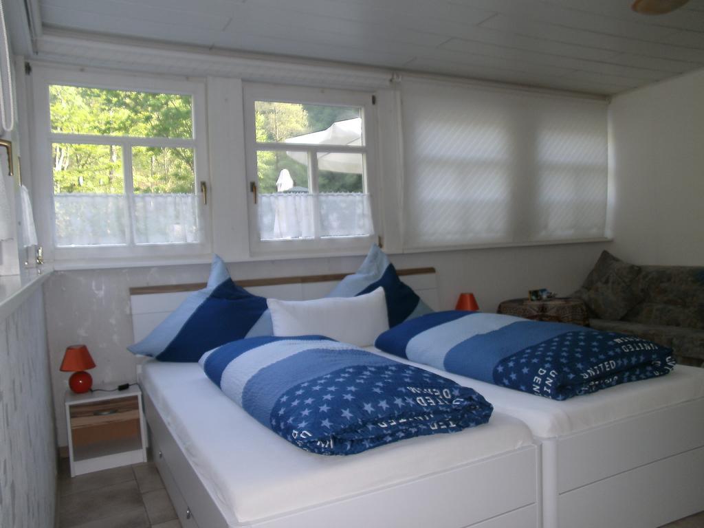 Pension Linkemühle Niederfell Екстериор снимка